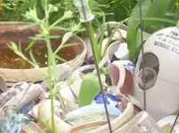 Made My own rock fence with finds.webp