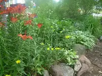 Rock bed West.webp