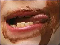 _41328964_chocolate203.webp