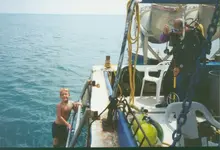 dandiving.webp
