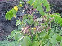 MVC-014F.webp
