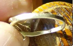 RIng 14k Missing Stone 4.webp