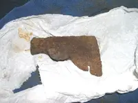 DSCN4728.webp