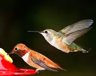 waiting-her-turn.webp