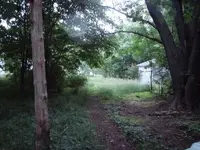 DSC02399.webp