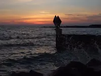 DSCF4450.webp
