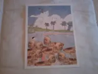 IMAG0002.webp