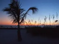 DSCF4475.webp