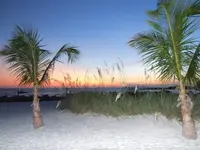 DSCF4479.webp