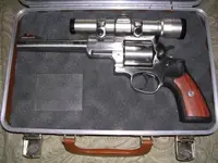 Ruger 002.webp