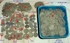 uncleaned coin lot example.webp