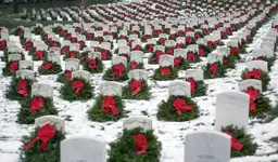 Arlington at xmas.webp