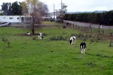 Pics from CD 056.webp