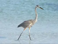 DSCF3789.webp