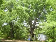 farm8.webp