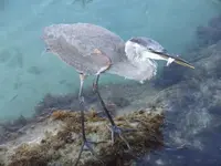 DSCF3810.webp