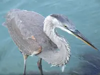 DSCF3813.webp