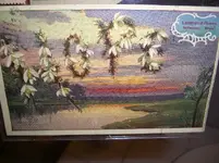 CIMG7003.webp
