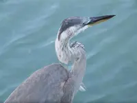 DSCF3815.webp