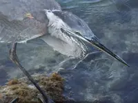 DSCF3819.webp
