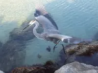 DSCF3822.webp