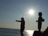 DSCF3843.webp