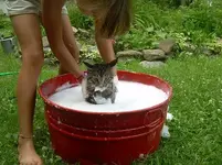 bath2.webp