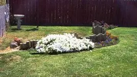 yard.webp