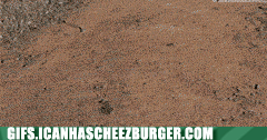 the-perfect-spot1.gif