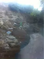 image-1014036834.webp
