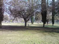 aa3.webp