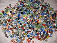IMG_2503.webp
