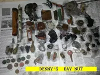 101DENNYNUT.webp