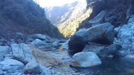IMAG0701.webp