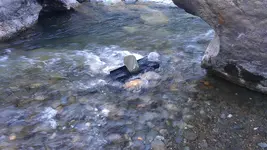 IMAG0703.webp