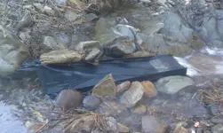 IMAG1258-1.webp