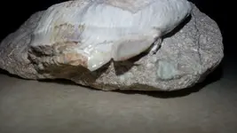 2014-01-14 10.09.13.webp