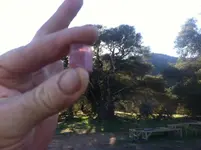 Tourmaline 2013.webp