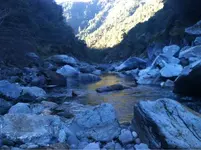 image-2045444711.webp