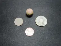 12 14 2013 finds 006.webp