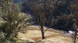 100_4191.webp 100_4191.webp