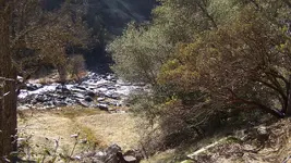 100_4192.webp 100_4192.webp