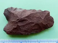 RSCN3839.webp