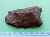 RSCN3838.webp