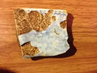 pottery_sh.webp