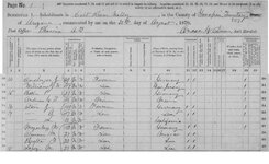 1870 United States Census, Yavapai County, Territory of Arizona p1.jpg