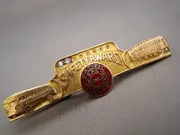 safety pins 2.webp