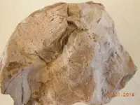 DSCN3994.webp