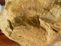 DSCN4027.webp