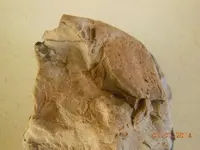 DSCN4031.webp